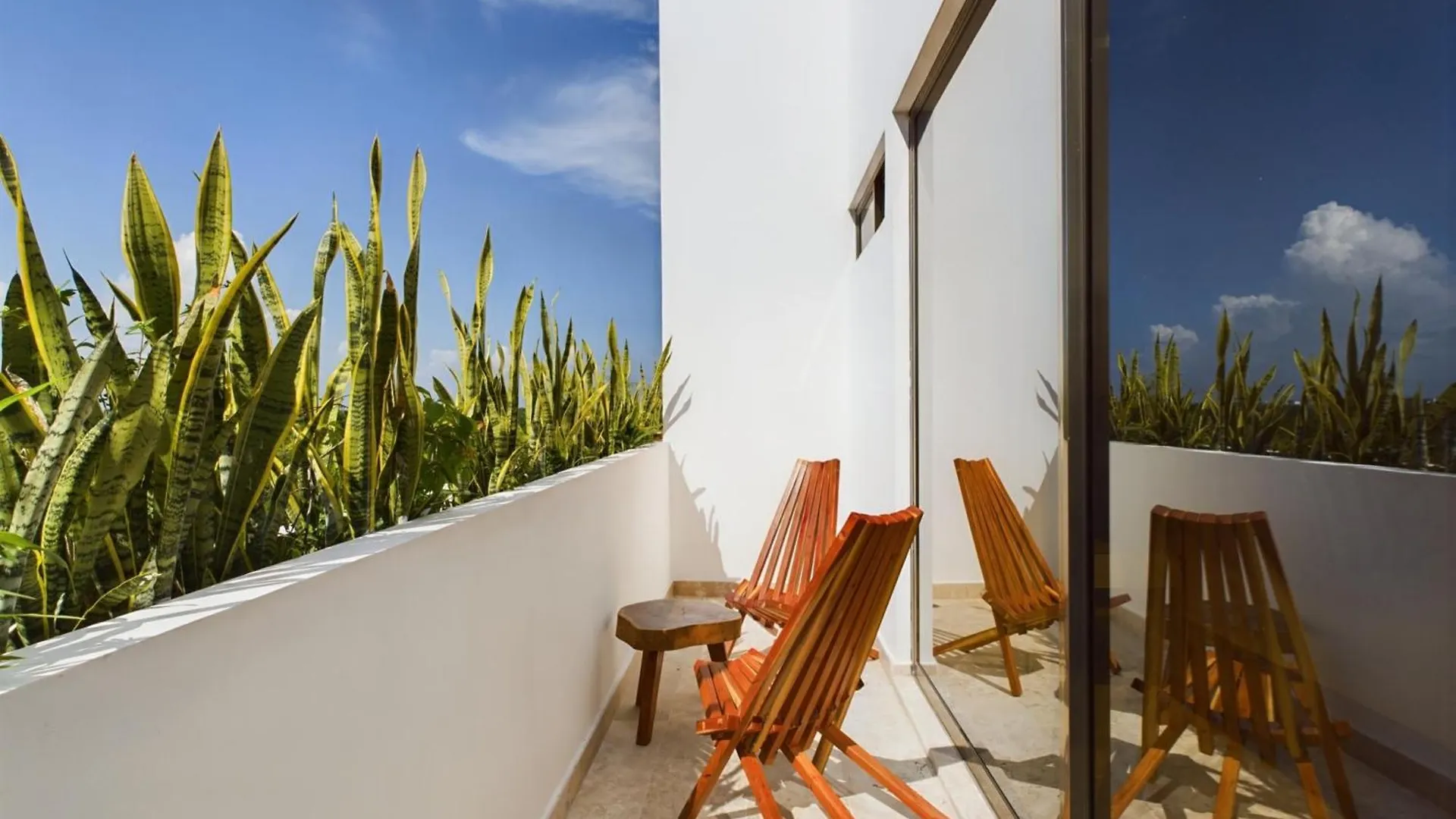 Dreamed Apartment Brava With Rooftop & Bridge Pool Tulum Mexico