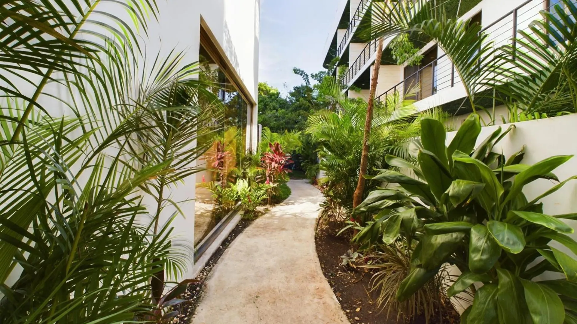 Dreamed Apartment Brava With Rooftop & Bridge Pool Tulum